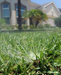 a system installed by our Saginaw sprinkler repair team