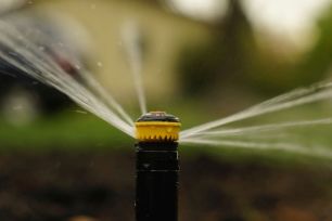 a recently installed sprinkler rotor head